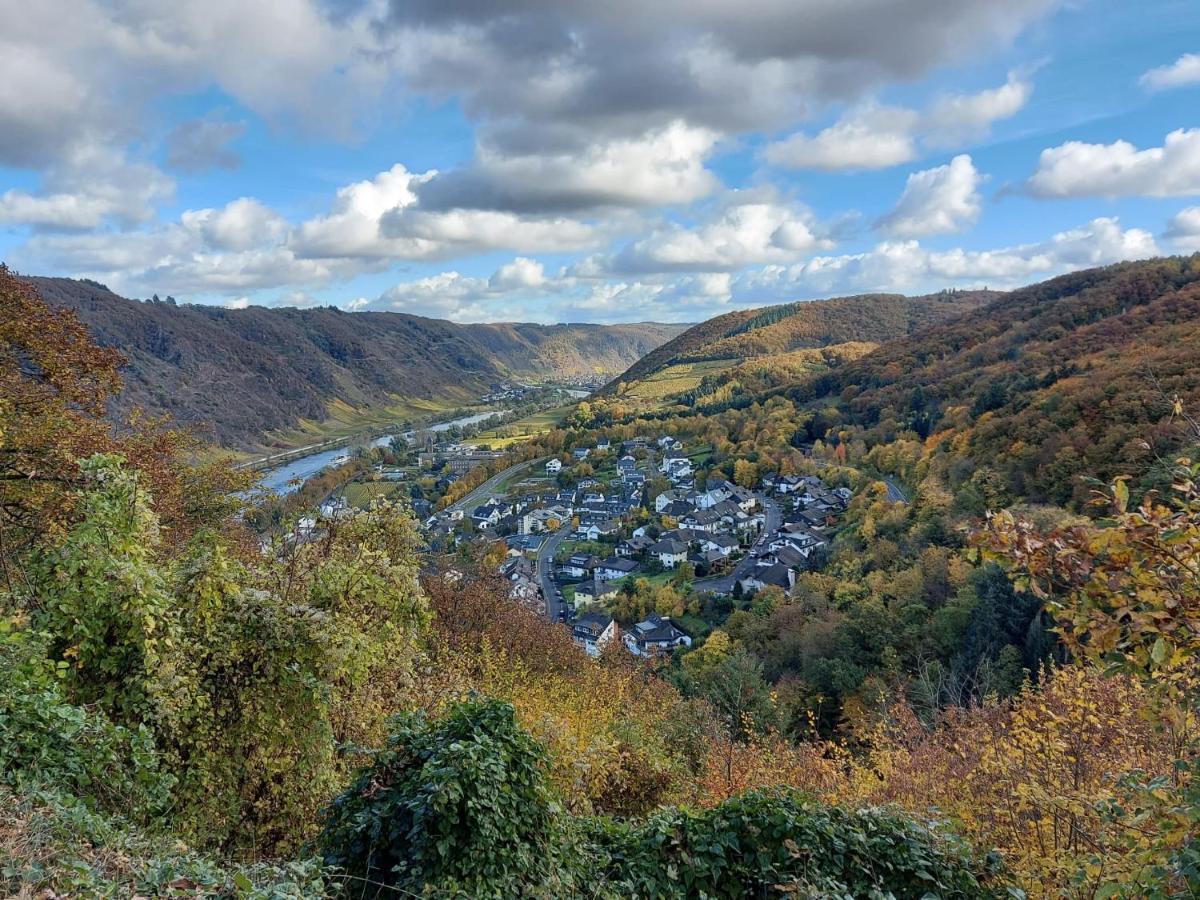 Ferienwohnung Meyver Cochem Ngoại thất bức ảnh